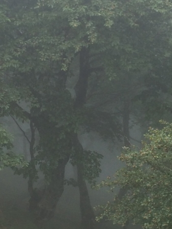 2016-08-27:roncevaux:10 2016-08-27:roncevaux:10