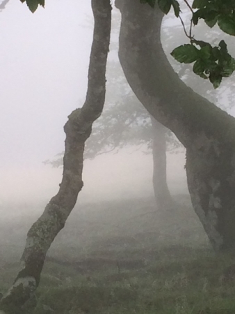 2016-08-27:roncevaux:12 2016-08-27:roncevaux:12