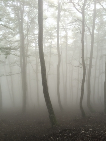 2016-08-27:roncevaux:14 2016-08-27:roncevaux:14