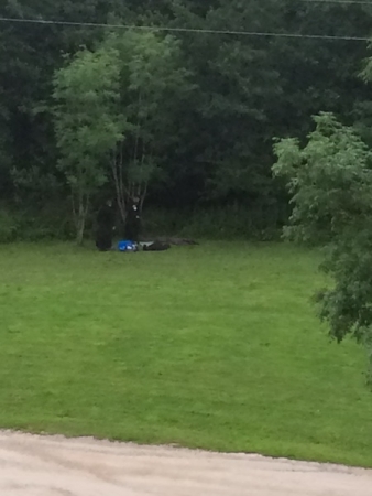 2016-08-27:roncevaux:17 2016-08-27:roncevaux:17