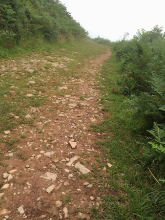 2016-08-27:roncevaux:4 2016-08-27:roncevaux:4