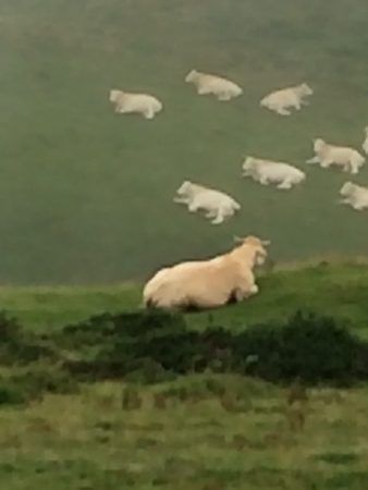 2016-08-27:roncevaux:7 2016-08-27:roncevaux:7