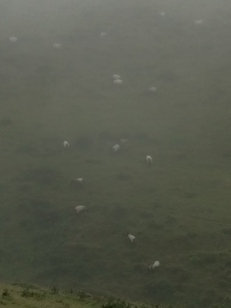 2016-08-27:roncevaux:8 2016-08-27:roncevaux:8